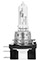 Bulbs H15