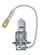 Bulbs H3